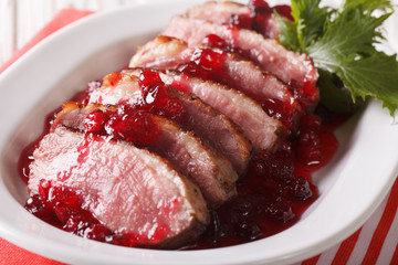 Sliced roast duck breast with cranberry sauce close-up. horizontal