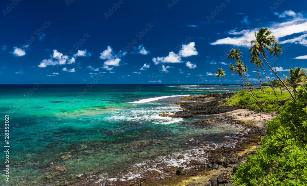 Wall mural Tropical volcanic beach on Samoa Island with many palm trees