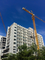 Fototapeta premium Crain with Construction