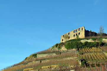 Burg in Staufen im Breisgau