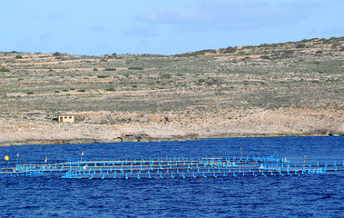 Sieci hodowlane w rejonie maltańskiej wyspy Gozo