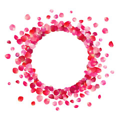 Circle frame of pink rose petals
