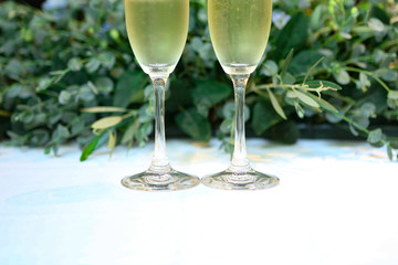 champagne glass