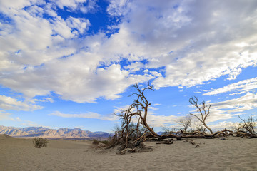 The beautiful Mesquite Flat Dunes