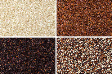 Yellow, red, black and mixed quinoa seeds rectangular surfaces. Edible fruits of grain crop Chenopodium quinoa in the Amaranth family, a pseudocereal. Isolated macro food photo close up from above.