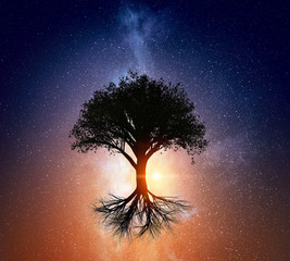 Sternennacht und Baum. Gemischte Medien