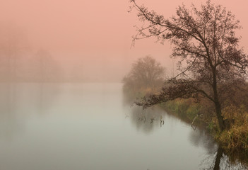 Obraz na płótnie Canvas Mystical sunrise in autumn by the pond