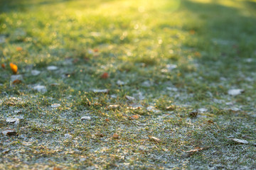 freezing frost on the grass