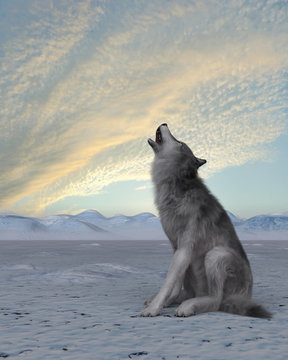 3d render of a howling wolf on winter snow background