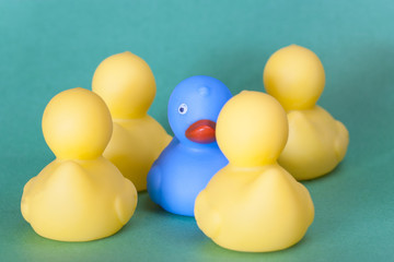 Racism, discrimination and social exclusion concept with color rubber ducks