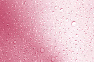 the water drop on fresh light pink  background