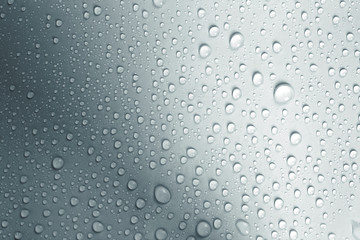 water drop on white background