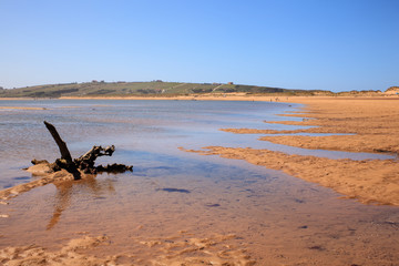 Liencres dunes nature reserve