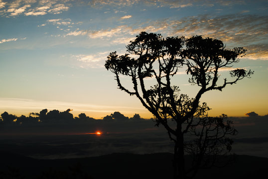 Sunrise in Brazil