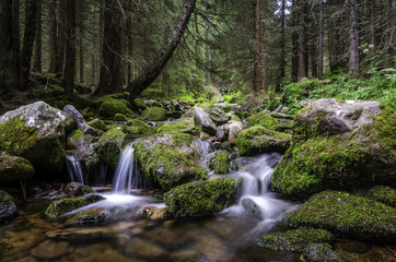 Torrente di montagna con piccole cascate nel bosco