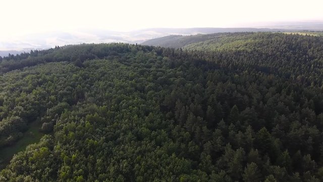 flight over forest in mountains