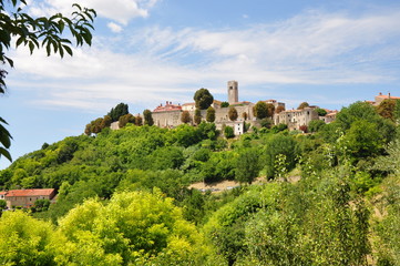 Fototapeta na wymiar Motovun town on a bright green hill, Istria, Croatia