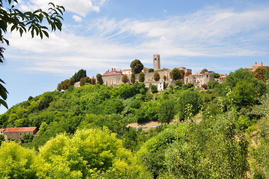 Motovun town on a bright green hill, Istria, Croatia