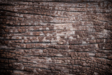 Fototapeta premium Old wood texture.