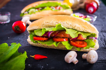 Two hot dog on a dark background