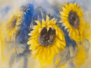 Fototapeta na wymiar sunflowers on blue background