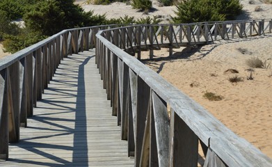 Obraz premium Weg durch die Dünen