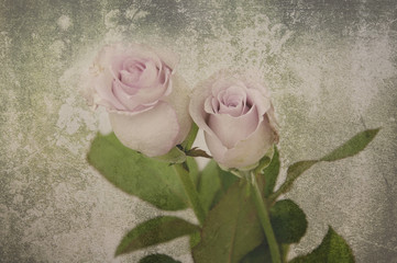 Rose Vintage Flowers
