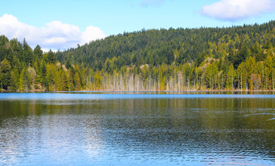 calm and peaceful lake 