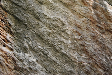 Prehistoric rock carvings (petroglyph) in Gobustan, Azerbaijan, depicting a bull and a donkey. 