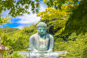 The Great Buddha in Kamakura. Foreground is maple tree. Located in Kamakura, Kanagawa Prefecture Japan.