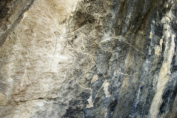 Prehistoric rock carvings (petroglyph) in Gobustan, Azerbaijan, depicting bulls. 