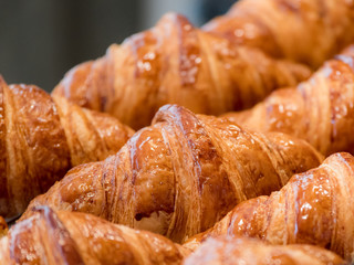 close up shot of Croissant bread , selective focus