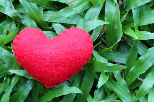 Red heart on the green lawn.