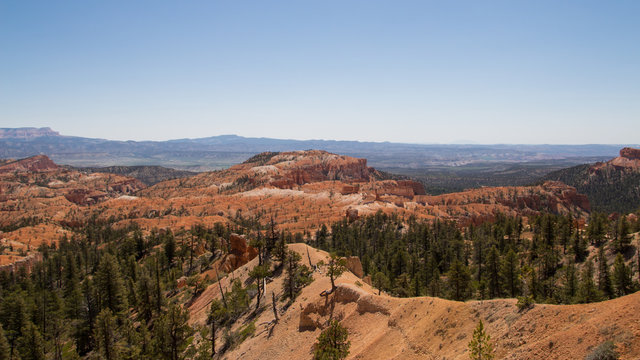 Bryce canyon National Park