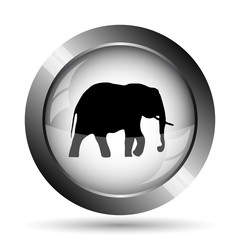 Elephant icon