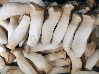 Eryngii mushrooms in the market / Eringi mushroom background