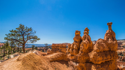 Bryce canyon National Park
