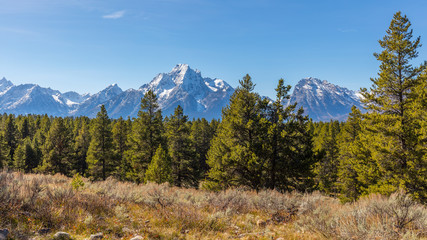 Beautiful snow-capped mountains. Scenic autumn mountains. Golden autumn. Golden autumn forest. Grand Teton National Park, Wyoming, USA