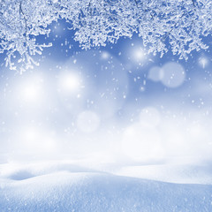 Winter background. Christmas landscape with snowdrifts and tree branches in the frost