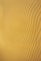  sand on the beach in summer. wave