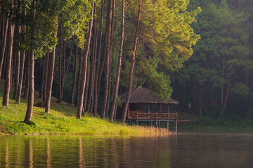 Calm lake with trees reflection in the morning