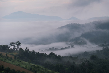 White mist in the morning over the hills