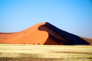 Namibia Kalahari desert dune