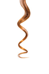 A strand of long, frizzy, brown hair isolated on white background.