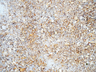 Sawdust in snow close up