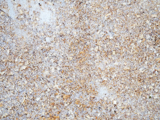 sawdust in snow close up