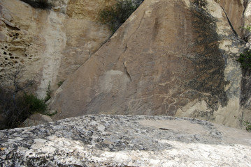 Prehistoric rock carvings (petroglyph) in Gobustan, Azerbaijan, depicting bulls.