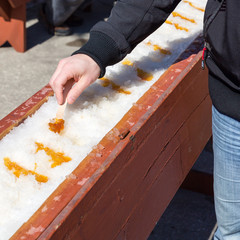 Man rolling hot maple syrup on snow - A springtime treat