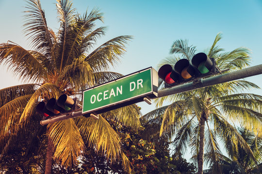 Ocean Drive street sign with palm trees, Miami