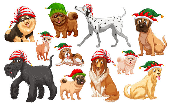 Dogs with christmas hats